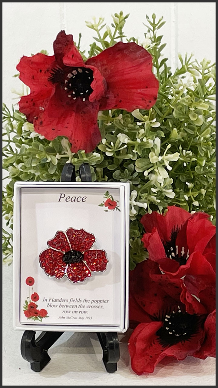 P1046-Large Poppy Diamante Brooch