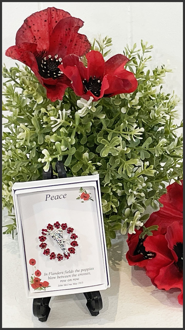 P1056 Vulcan Bomber in Circle of Poppies Brooch