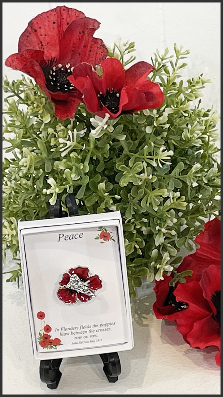 P1057 Vulcan Bomber on Poppy Brooch